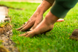 Turfing Company West Midlands 01 Small